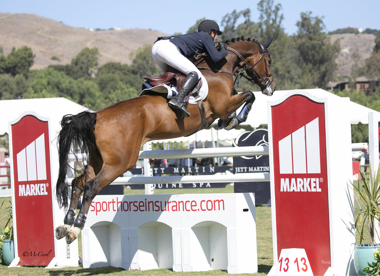Rider and horse jumping Markel Insurance jump